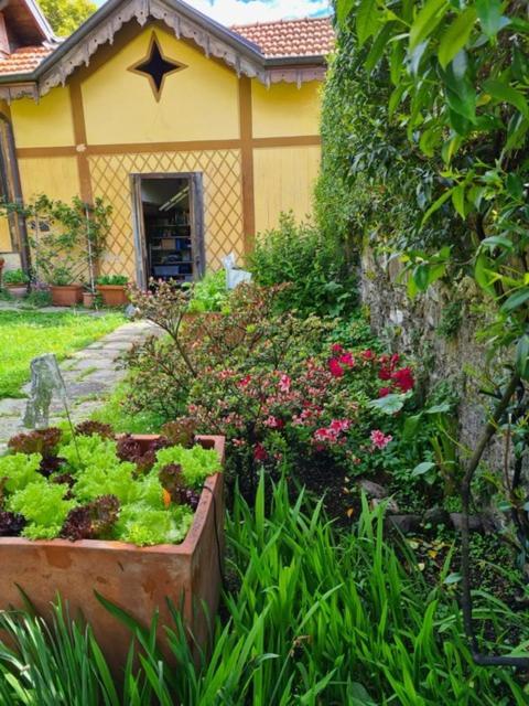 Ca Balossa, Tremezzina Lago Di Como Davanti A Bellagio E Villa Balbianello Mezzegra ภายนอก รูปภาพ